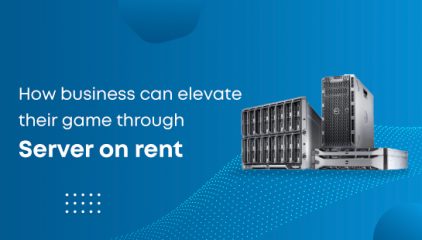 How Business Can Elevate their Game Through Standard Rent of Server