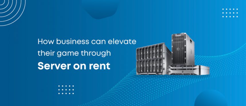 How Business Can Elevate their Game Through Standard Rent of Server